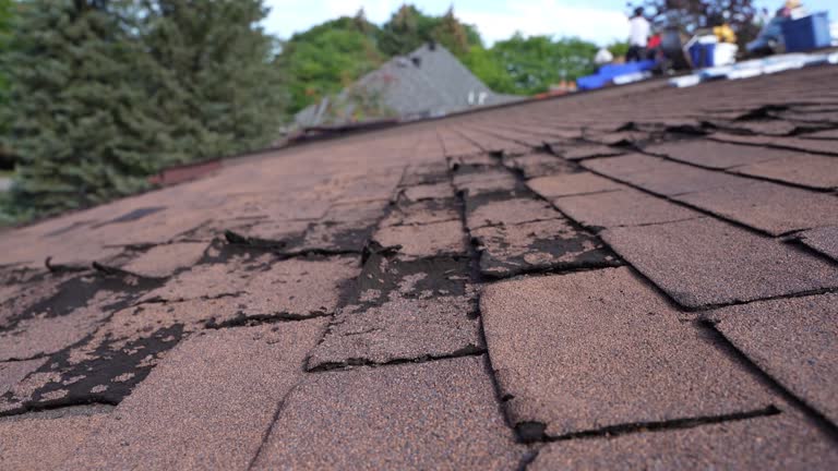 Best Slate Roofing  in De Witt, NY