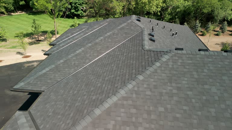 Best Green or Eco-Friendly Roofing Solutions  in De Witt, NY