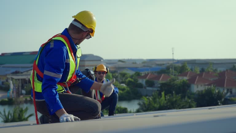 Best Solar Panel Roofing Installation  in De Witt, NY