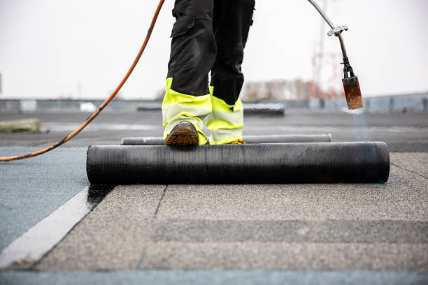 Best Steel Roofing  in De Witt, NY