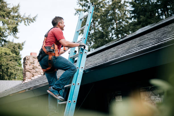 Best Gutter Installation and Repair  in De Witt, NY