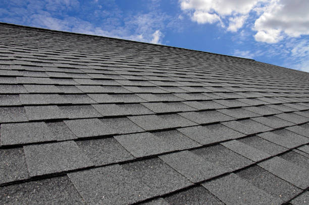 Best Roof Leak Repair  in De Witt, NY