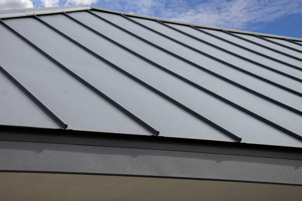 Best Roof Maintenance and Cleaning  in De Witt, NY